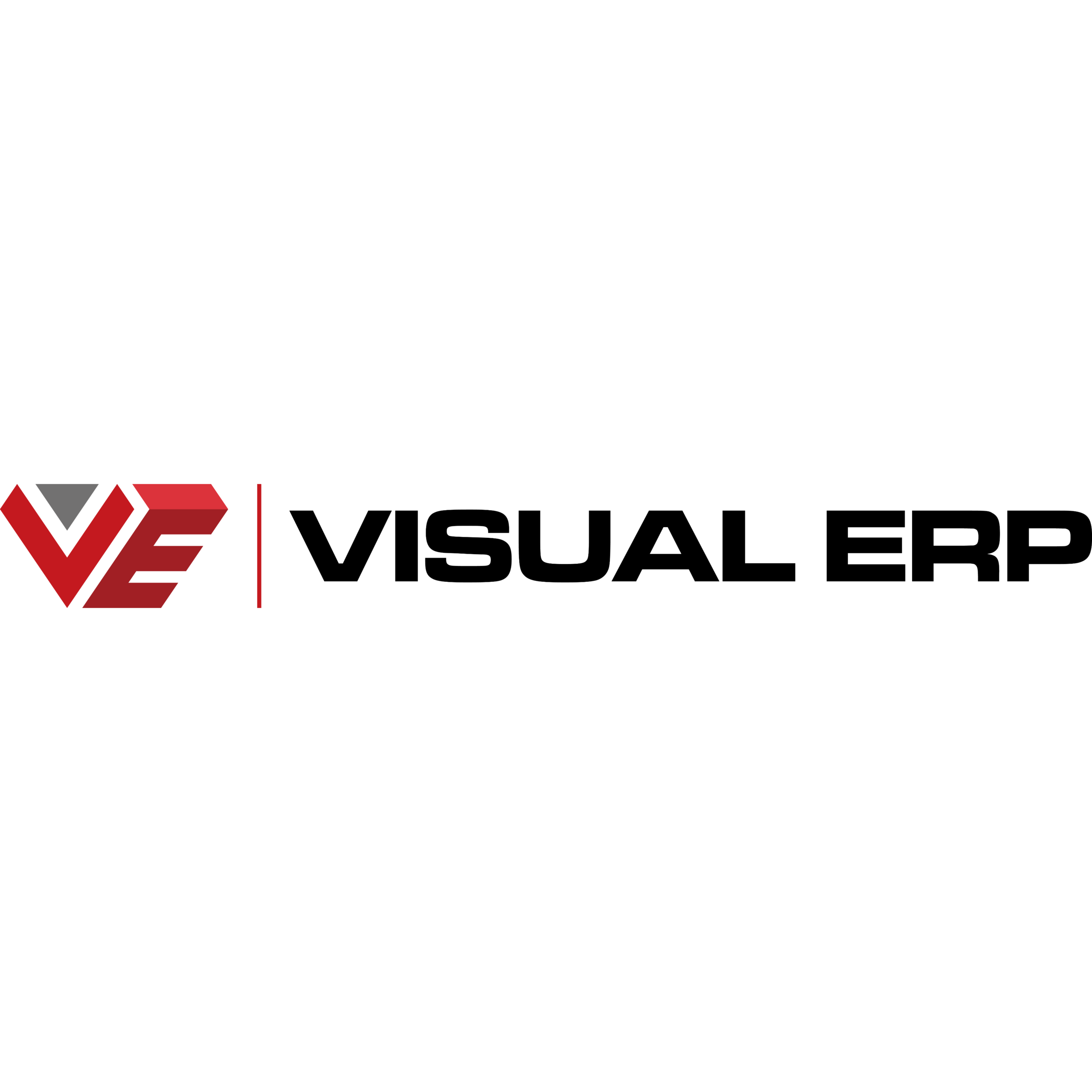 VISUAL ERP logo